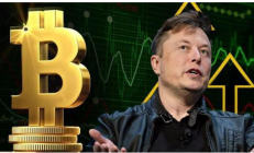 特斯拉可能共买入 3.7 万枚比特币，部分处于亏损状态