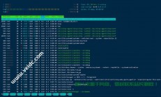 搬瓦工VPS BBR技术深度解析，速度与稳定性并重