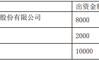 上海新阳拟成立控股子公司研发193nm高端光刻胶技术