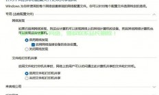 揭秘数字身份的秘密，网络凭据背后的安全与隐私挑战