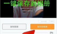 掌握视频下载秘诀，只需一分钟，轻松下载所有视频！