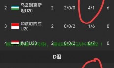 VPS华沙球队赛场风采闪耀，战绩揭秘引人瞩目