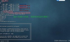 VPS自动启动SS，一键设置，实现远程安全连接的轻松体验