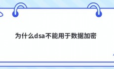 为什么dsa不能用于数据加密