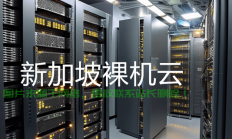 新加坡数据服务器怎么用?