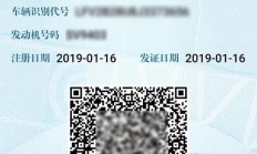 揭秘免费永久VPS下载，轻松获取安全高效的虚拟服务器体验！