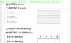 DNS下载全攻略，步骤、方法与重点详解！