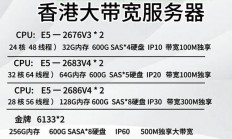 香港VPS超大硬盘，无忧存储首选！