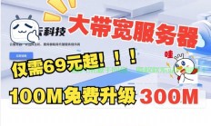 独家推荐，极速超大宽带VPS，体验无与伦比的极速网络之旅！