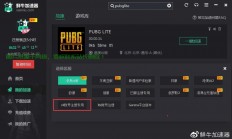 pubglite服务器怎么选?