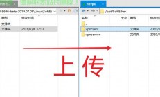 VPS极速传输秘籍，上传下载无忧，核心技巧大揭秘！