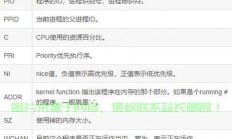 服务器所有地址怎么查?