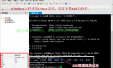 SSH服务器，远程访问与管理的核心安全工具
