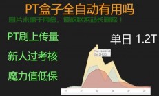 VPS搭建PT高效刷流全攻略，轻松掌握，流量飙升！