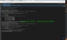 谷歌云VPS搭建全攻略，高效虚拟服务器轻松构建！