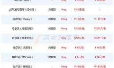 哈尔滨VPS购买攻略，精选渠道，轻松直达！