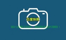 揭秘网页快照，快速预览网页内容的利器