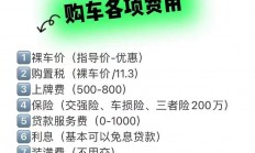 购车必备知识，VPS是否必须安装？揭秘真相！
