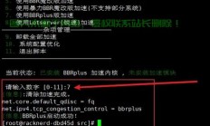 VPS升级秘籍，开启BBR加速，畅享飞速网络体验！
