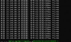 VPS Ping测试，揭秘网络速度与稳定性的核心指标！