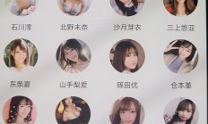 揭秘日本VPS支持私服的真相，能否搭建私服的真相探索