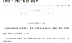 上海“十四五”规划：聚焦神经芯片、DNA存储等数字技术重大前沿领域
