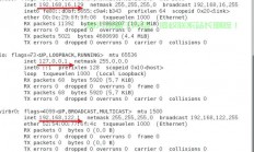 构建高效Linux文件服务器，通过HTTP实现文件共享与管理，如何在Linux上快速搭建HTTP文件共享服务器？，如何在Linux上快速搭建高效HTTP文件共享服务器？