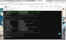 EFI与Linux分区大小优化，如何合理分配磁盘空间并安装宝塔面板，如何优化EFI与Linux分区大小，合理分配磁盘空间并顺利安装宝塔面板？，EFI分区太小导致安装失败？Linux磁盘空间这样分配，宝塔面板轻松搞定！