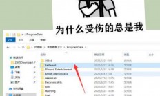 与服务器协商失败怎么解决?