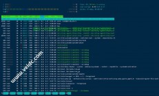 VPS CentOS上网秘籍，轻松实现高效科学上网指南