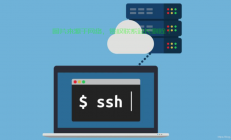 揭秘SSH与SSH Daemon，掌握安全远程访问的密钥！