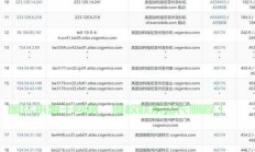 新加坡顶级原生VPS服务，速度与稳定性，首选之选