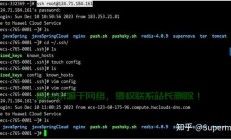 SSH远程工具，高效连接，轻松管理服务器！