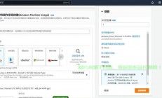 VPS复制秘籍，轻松搞定文件传输！