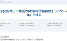 《武汉市数字经济发展规划（2022—2026年）》：打造自主创新集成电路产业基地