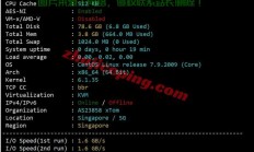 VPS全面测评，性能、稳定性与安全性大揭秘！