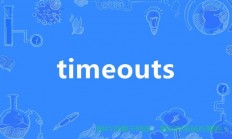 Time4vps PT独家解析，高效VPS服务的关键要素揭秘