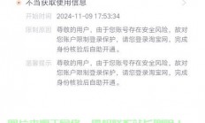 淘宝与VPN服务的隐秘关联揭秘，淘宝是否暗中庇护虚拟专用服务？