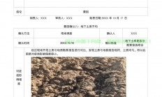 揭秘偏移量，概念解析、应用实践及影响深度剖析