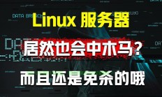 黑建筑服务器崩了怎么解决?