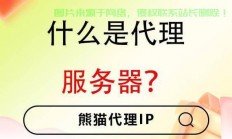 代理服务器全解析，概念、功能与实际应用指南！