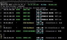 VPS CN2高速解析，全面解读网络速度与性能优势