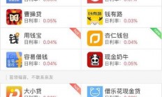 揭秘贷款背后的神秘面纱，VPS真相大解密！