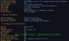 VPS多线路IP，开启网络新纪元，体验无与伦比的畅游速度
