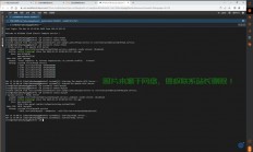 个人如何建立VPS？搭建方法与注意事项详解