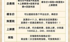 车贷背后的秘密费用曝光，聚焦VPS费用揭秘