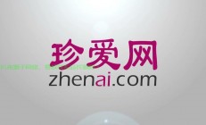 揭秘珍爱网源码，技术背后的神秘力量！