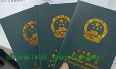 高效证书办理攻略，轻松获取证书，省时省力省心！