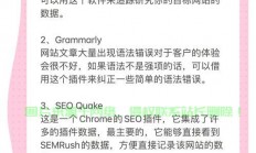 VPS对SEO的优缺点深度解析，提升效果与潜在挑战探索