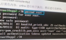 华为VPS轻松修改Root密码教程